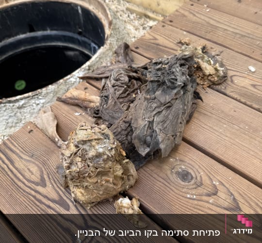 פסולת סתימה ליד פתח ביוב על רצפת עץ